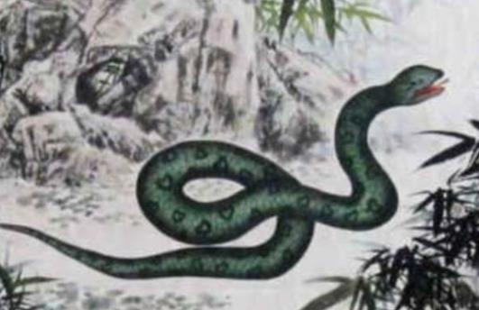 梦见牛吃蛇，探索梦境背后的深层含义与启示