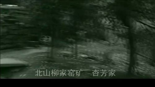 梦境重生，梦见去世的姐姐又复活了