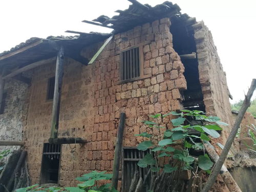 梦境中的风雨与重建，解析梦见下大雨房屋倒塌后又修好了的深层含义