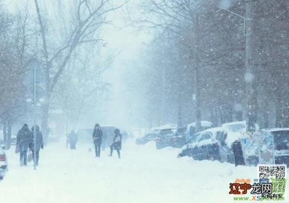 昨晚梦到下雪了有何征兆？请专家解答