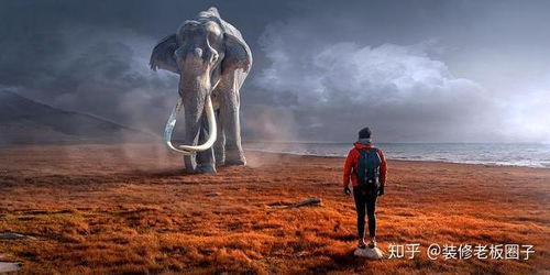 做梦梦到已故奶奶为什么，梦境中的温情与心灵深处的呼唤
