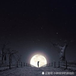 梦见自己死去的亲人回来的预兆，探索梦境与现实的微妙联系