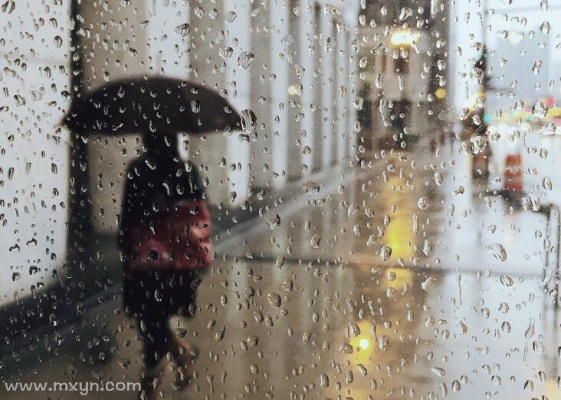 梦见下雨爸爸淋雨，预示家庭责任与情感关怀的梦境解析