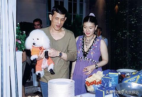 孕妇梦见一只小狗死了，梦境背后的深层含义与心理解析