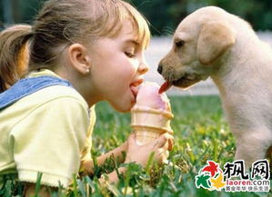梦境的深层解析，梦见自己把家狗吃了的寓意与心理暗示