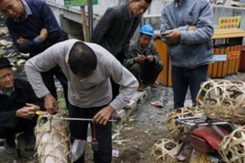 我梦见自己卖猪肉，探索梦境背后的深层含义