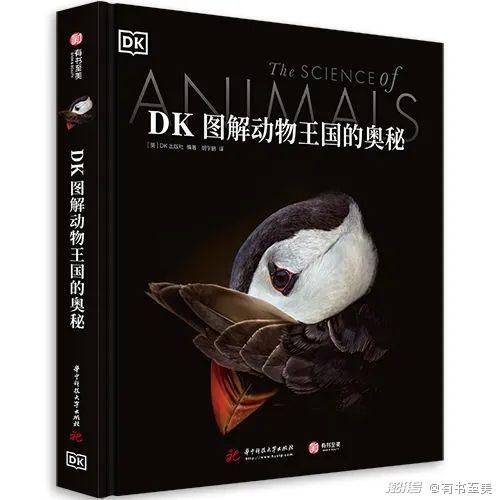 梦境解析，蛇变狗之谜——探索潜意识中的转变与启示