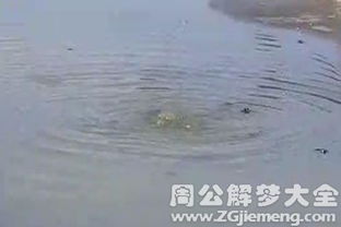 梦见河里发大水，梦境背后的深层含义与解析