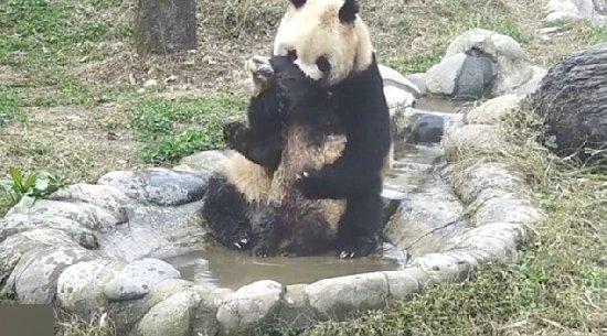 梦境中的温柔洗礼，解析梦到抱着这孩子洗澡的深层含义