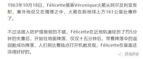 求解梦谢谢你们，探索梦境背后的深层含义与心理解析