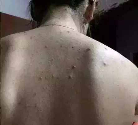 梦见对象被自己的父母知道，梦境背后的深层含义与解析
