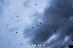 佛说梦见死去亲人，探寻梦境背后的深层含义与心灵启示