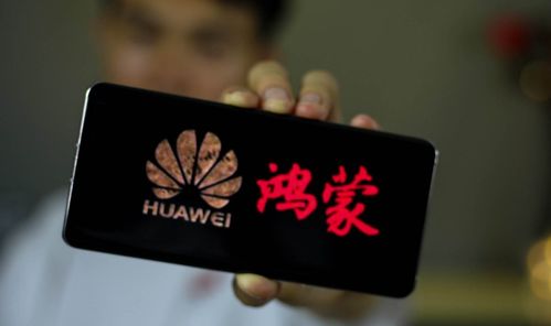 梦见被人追杀，心理学视角下的梦境解析