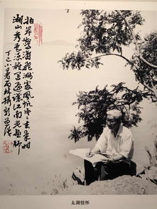 做梦梦到老人遗像掉下来，梦境背后的深层含义与解析