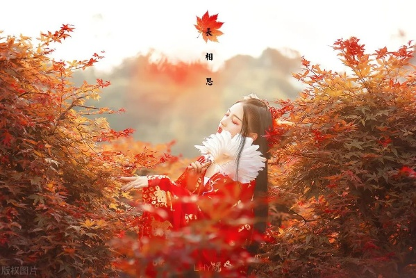 梦境解析，红裳白片，情感与变迁的交织