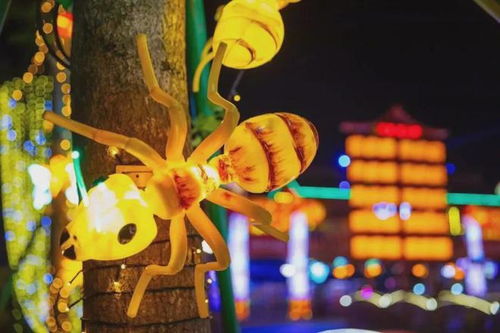 梦境中的奇遇，梦见黄白两虫被蚂蚁咬，我英勇相救的深层寓意