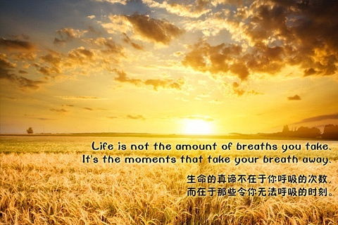 梦境中的奇妙邂逅，为何反复梦见同一人，醒来心情总是愉悦？