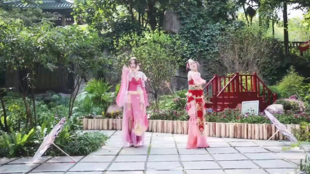 梦见两条蛇，毒蛇与青蛇的交织梦境