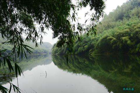 梦境解析，梦遇白羊与蛇的奇妙交织，最终蛇被我打跑