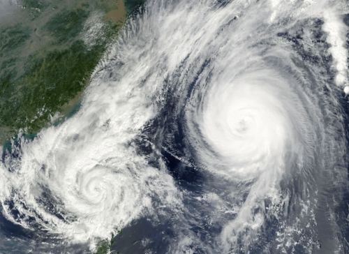 梦境解析，长发及地发尖微黄与饭中异象的深层含义