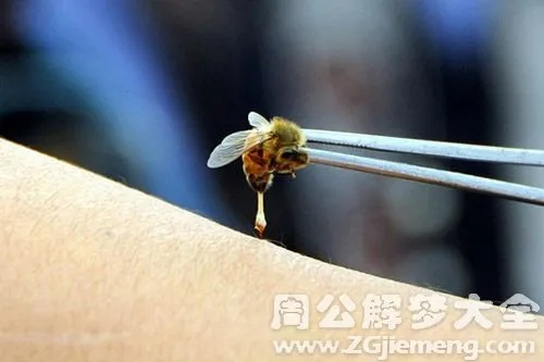 梦见被蜜蜂蛰，寓意与梦境解析