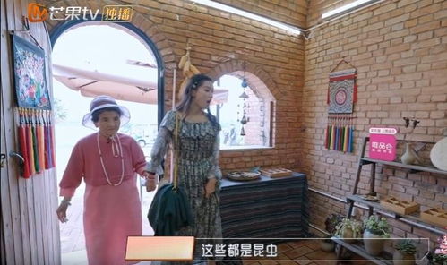 梦见去世的婆婆，一场穿越时空的心灵对话