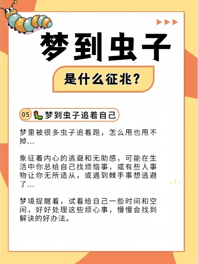 探索梦境奥秘，附近梦到满是虫子的深层解读与心理分析