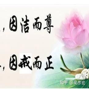 梦境中的坦诚，与母亲分享恋曲的心路历程
