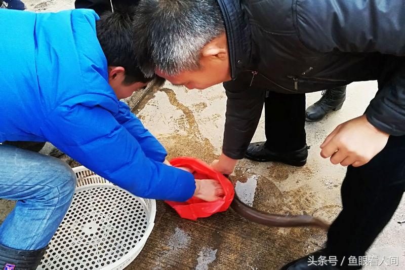 梦见被鱼咬手了，解读梦境中的神秘信息