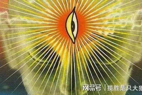 梦中奇缘，家禽与天眼之谜