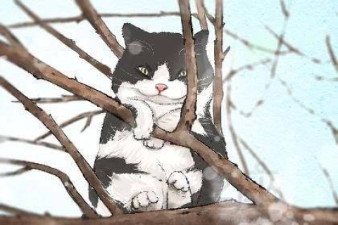 梦见有人要杀死猫的预兆，解析梦境背后的深层含义