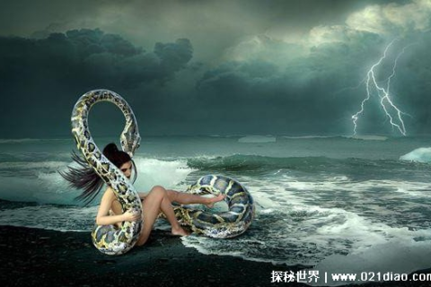梦到一条蛇向我喷白色液体，解析梦境中的隐秘象征与心理暗示