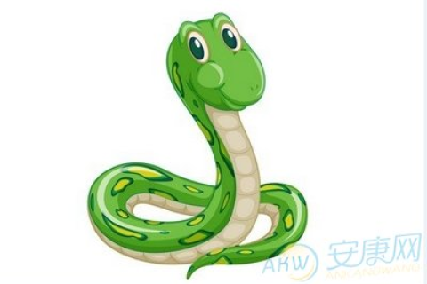 解梦，为何会梦到被蛇咬？