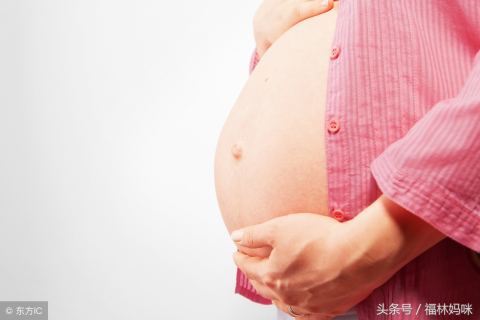 周公解梦，梦见狐狸，寓意何在？