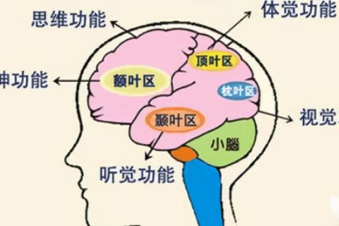 梦境中的天使，解析梦到女婴的深层含义与心理启示