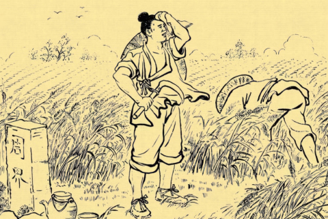 梦境交织，解读我昨天晚上同时梦见了蛇和狗的深层含义