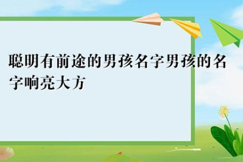 梦境拾趣，解析梦到捡鸡蛋的深层寓意与心理启示