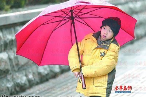 梦境中的温情与失落，梦见下雨，老公打伞前行，我却独自承受雨湿