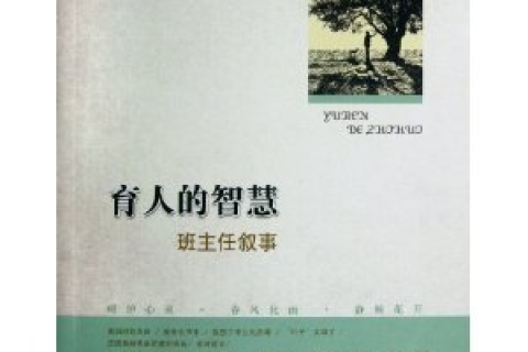 解梦梦见小偷，探寻梦境背后的深层含义与心理启示