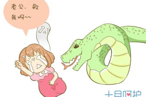 总是梦见蛇咬我，解读梦境中的隐喻与职场压力