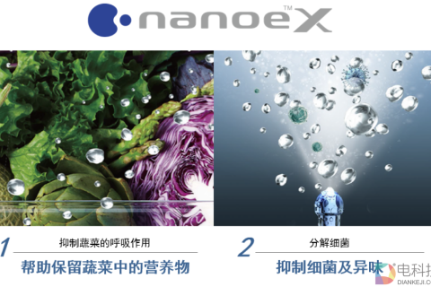 探索梦境奥秘，解析昨晚梦见与众人田间捉鱼的深层含义