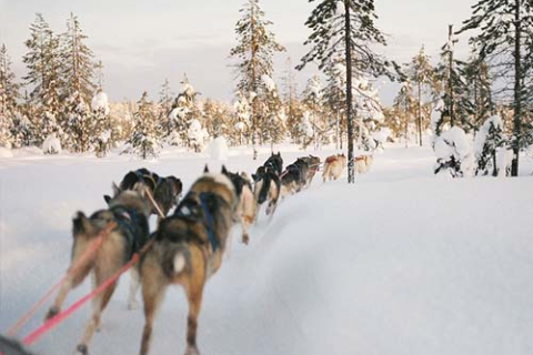 梦境中的浪漫奇遇，解析梦见自己在雪地里结婚的深层含义