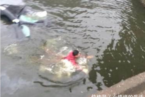 梦境中的生死逃亡，解析梦见在河里游泳遭遇洪水袭击的深层含义