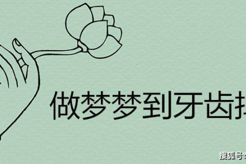 梦见牙齿掉了一嘴，探索梦境背后的深层含义与心理解析