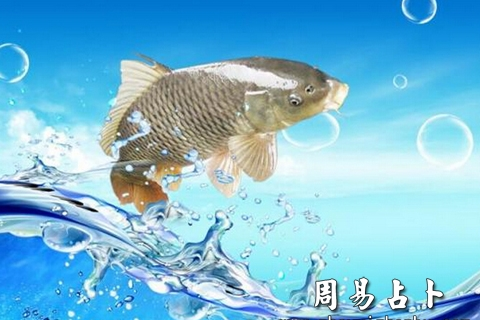 梦见巨大的鱼跳出水面，潜意识深处的启示与象征解读