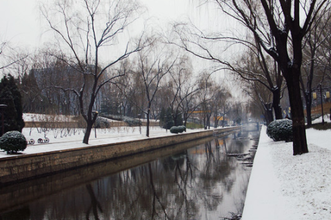 梦见下小雪，预示希望与转变的微妙征兆