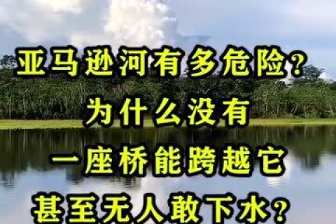 跨越无栏之桥，梦境中的勇气与坚持