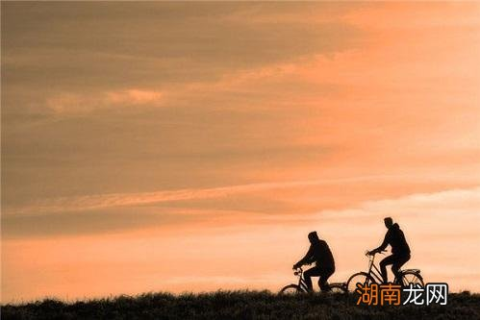 梦见骑自行车被人抢，探索梦境背后的深层含义与心理解析