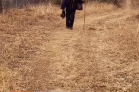 错位的思念，梦见给已故母亲上坟，却误入他人坟地