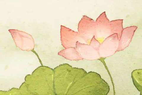 梦境解析，梦见梨的象征意义与深层含义